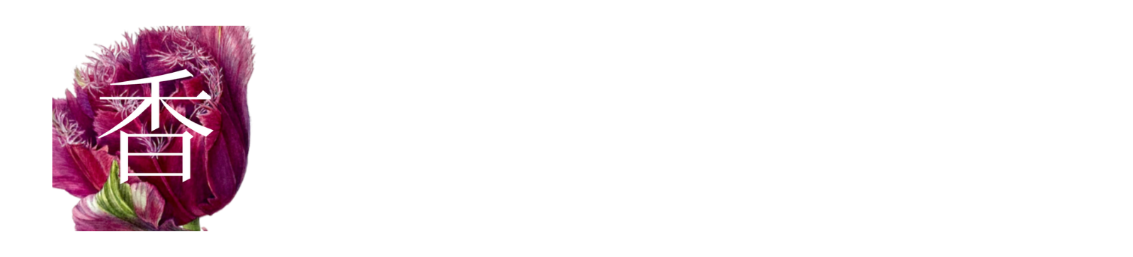 宮澤香代子 Botanical Artist | ボタニカルアート教室