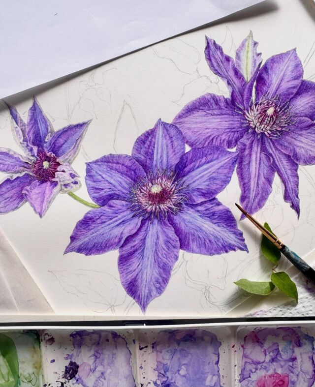 ボタニカルアート　絵画　YAN ROSE 蝶 フラワー 宮澤香代子 KAYOKO MIYAZAWA SBA fellow (@miyazawa_kayoko